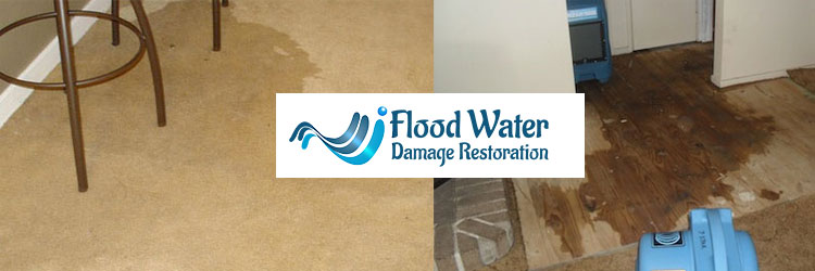 Carpet Flood Damage Restoration Service