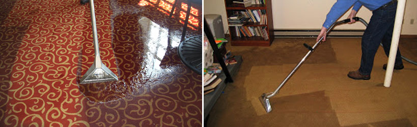 Carpet Water Extraction Greenwood
