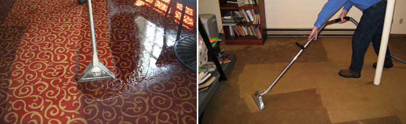 Carpet Water Extraction Wattle Grove