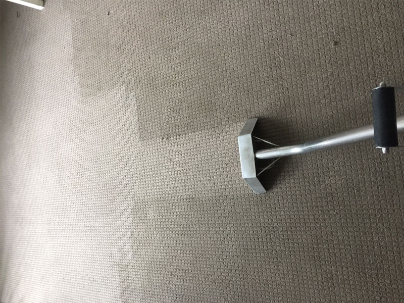 Carpet Water Removal