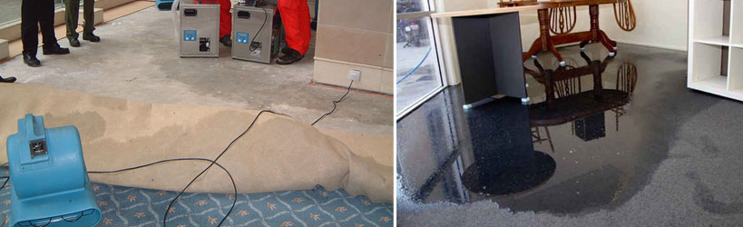 Same Day Flood Damage Restoration Service Beckenham