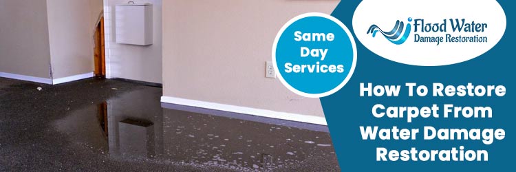 Carpet Water Damage Restoration