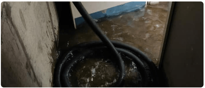 Professional Carpet Water Damage Restoration in Perth