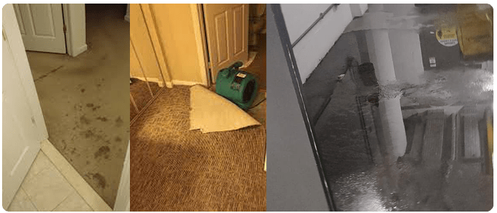 Emergency Carpet Water Damage Restoration Perth